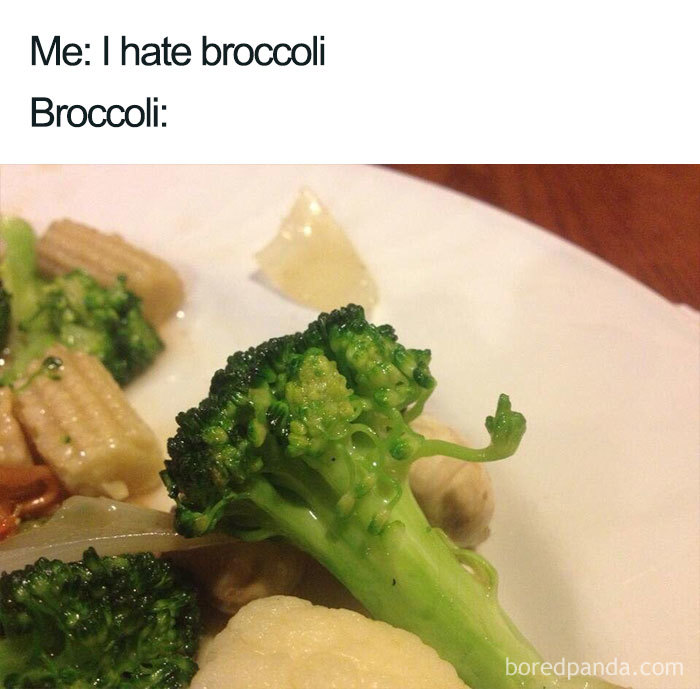 Funny food meme with broccoli on a plate, captioned "Me: I hate broccoli. Broccoli:" showing a broccoli piece amusingly posed.