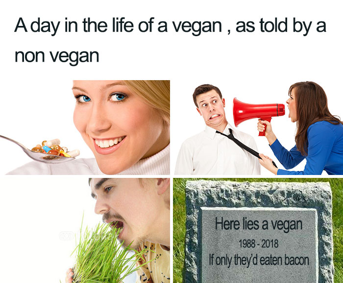 Vegan Memes