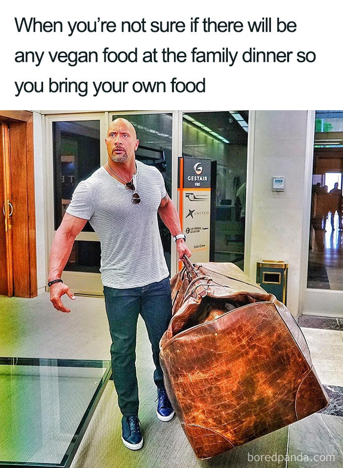 Vegan Memes