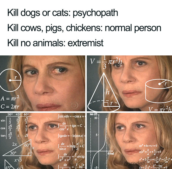 Confused woman surrounded by mathematical equations, illustrating a funny vegan meme about perceptions on animal choices.