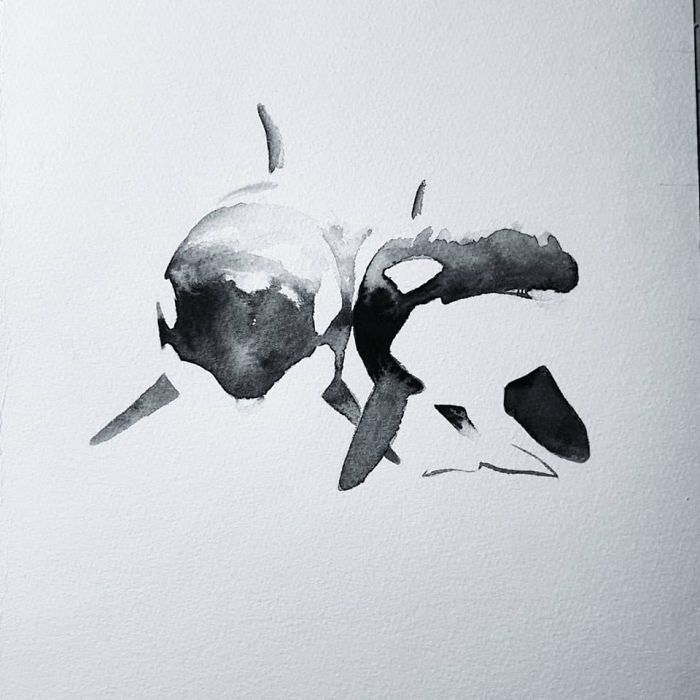 Arctic Animal Paintings