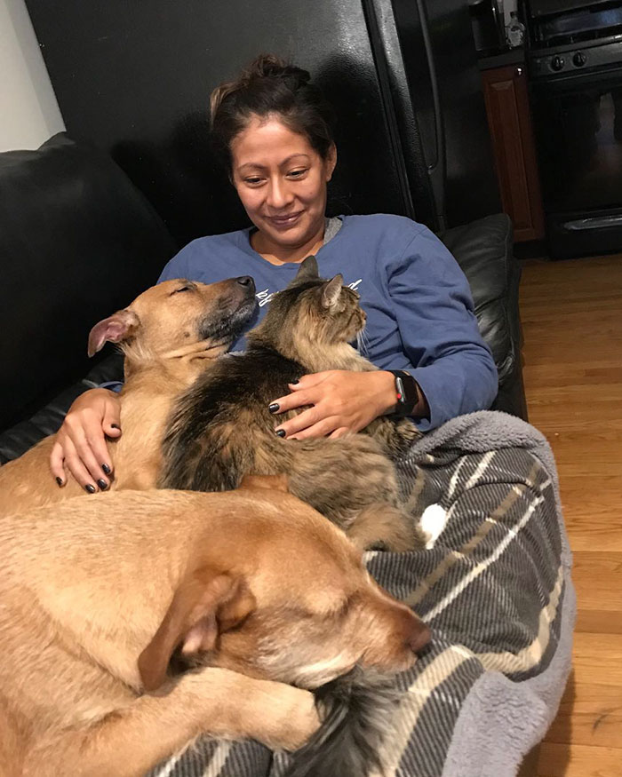 Dog Meets Her "Twin" On The Way To The Market, Convinces Its Owners To Adopt Him Immediately Dog Meets Her "Twin" On The Way To The Market, Convinces Its Owners To Adopt Him Immediately