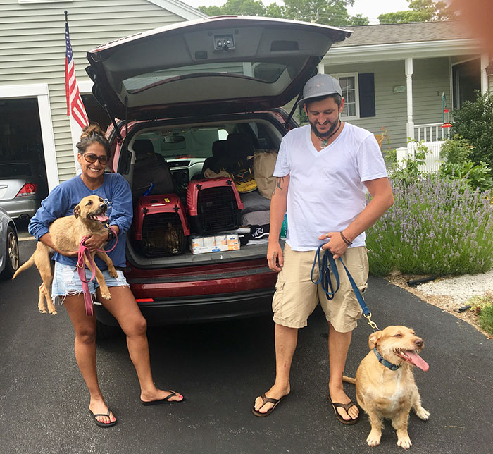 Dog Meets Her "Twin" On The Way To The Market, Convinces Its Owners To Adopt Him Immediately Dog Meets Her "Twin" On The Way To The Market, Convinces Its Owners To Adopt Him Immediately