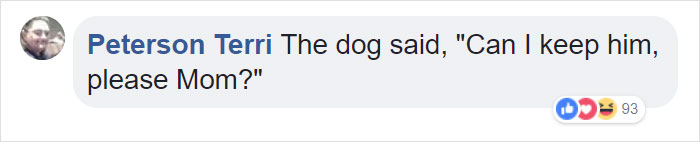 Dog Meets Her "Twin" On The Way To The Market, Convinces Its Owners To Adopt Him Immediately Dog Meets Her "Twin" On The Way To The Market, Convinces Its Owners To Adopt Him Immediately