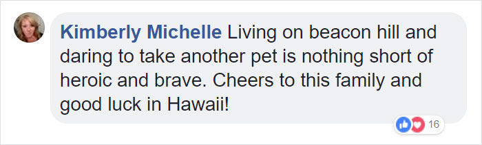Dog Meets Her "Twin" On The Way To The Market, Convinces Its Owners To Adopt Him Immediately Dog Meets Her "Twin" On The Way To The Market, Convinces Its Owners To Adopt Him Immediately