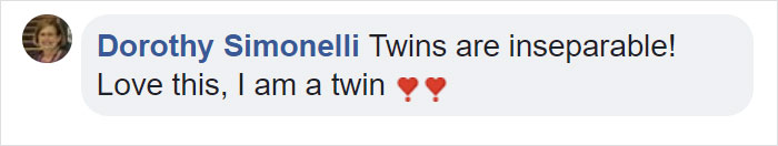 Dog Meets Her "Twin" On The Way To The Market, Convinces Its Owners To Adopt Him Immediately Dog Meets Her "Twin" On The Way To The Market, Convinces Its Owners To Adopt Him Immediately