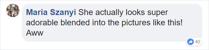 Girl Dresses Up In Green For School Picture Day And The Results Make Mom Laugh Hysterically Girl Dresses Up In Green For School Picture Day And The Results Make Mom Laugh Hysterically