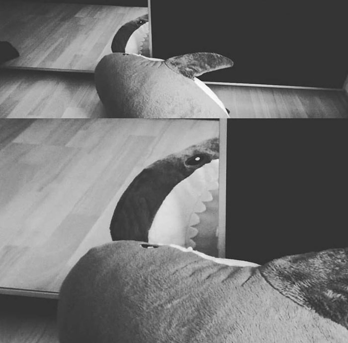 Shark-Plush-Blahaj-Blaha-Ikea