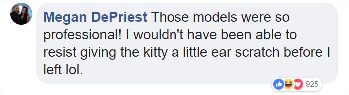 Random Cat Crashes Fashion Show, Fights Models Random Cat Crashes Fashion Show, Fights Models