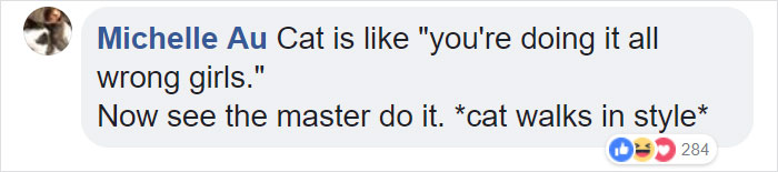 Random Cat Crashes Fashion Show, Fights Models Random Cat Crashes Fashion Show, Fights Models