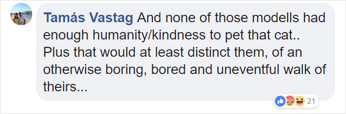 Random Cat Crashes Fashion Show, Fights Models Random Cat Crashes Fashion Show, Fights Models