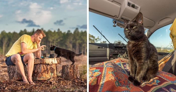 I Spent Over 3 Years Traveling With My Cat In A Campervan