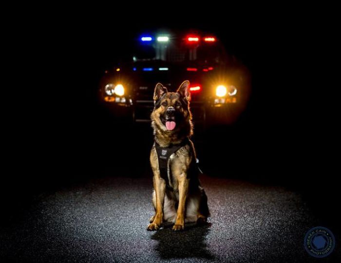 Vancouver Police Canine Unit Just Released Their 2019 Charity Calendar And It's Badass Vancouver Police Canine Unit Just Released Their 2019 Charity Calendar And It's Badass