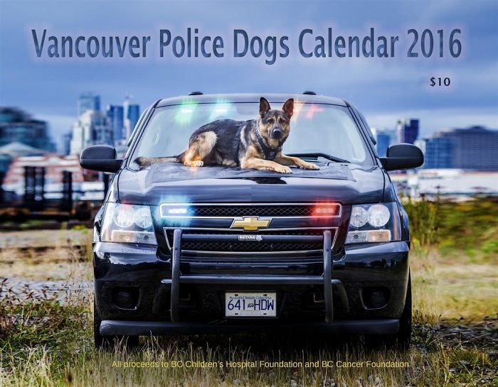 Vancouver Police Canine Unit Just Released Their 2019 Charity Calendar And It's Badass Vancouver Police Canine Unit Just Released Their 2019 Charity Calendar And It's Badass