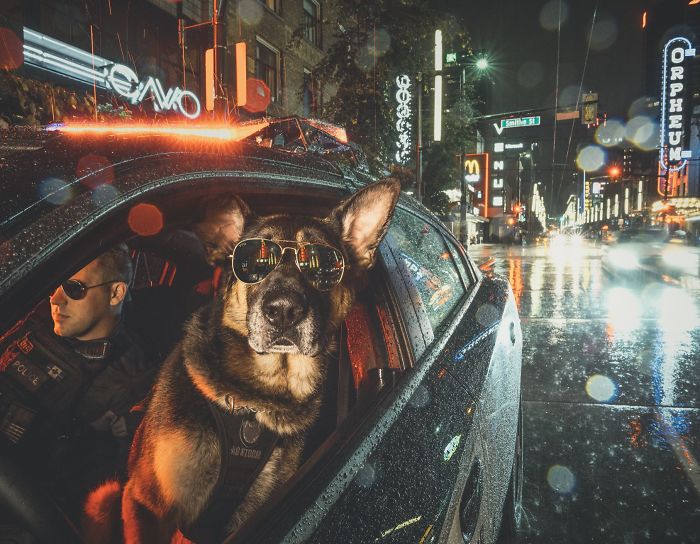 Vancouver Police Canine Unit Just Released Their 2019 Charity Calendar And It's Badass Vancouver Police Canine Unit Just Released Their 2019 Charity Calendar And It's Badass