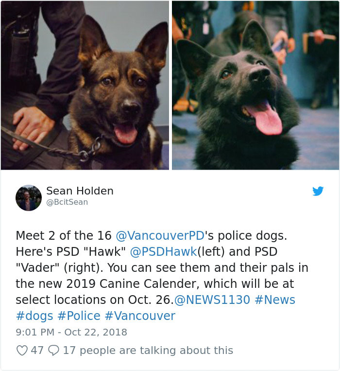 Vancouver Police Canine Unit Just Released Their 2019 Charity Calendar And It's Badass