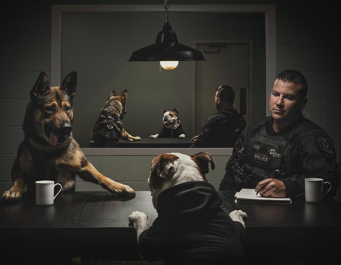 Vancouver Police Canine Unit Just Released Their 2019 Charity Calendar And It's Badass Vancouver Police Canine Unit Just Released Their 2019 Charity Calendar And It's Badass