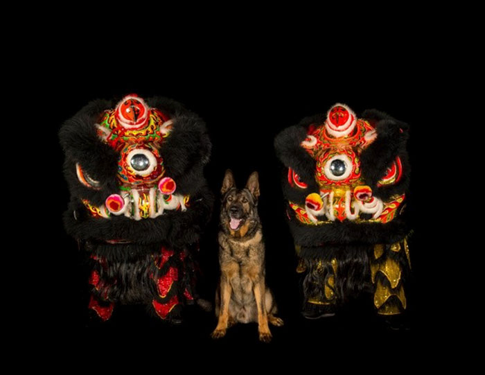 Vancouver Police Canine Unit Just Released Their 2019 Charity Calendar And It's Badass Vancouver Police Canine Unit Just Released Their 2019 Charity Calendar And It's Badass