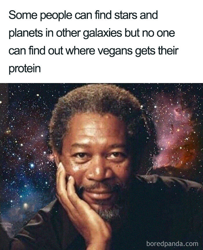Vegan Memes