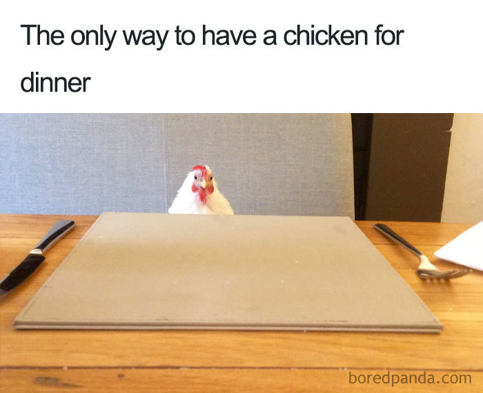A chicken seated at a dining table with text humorously referencing vegan memes about eating chicken.