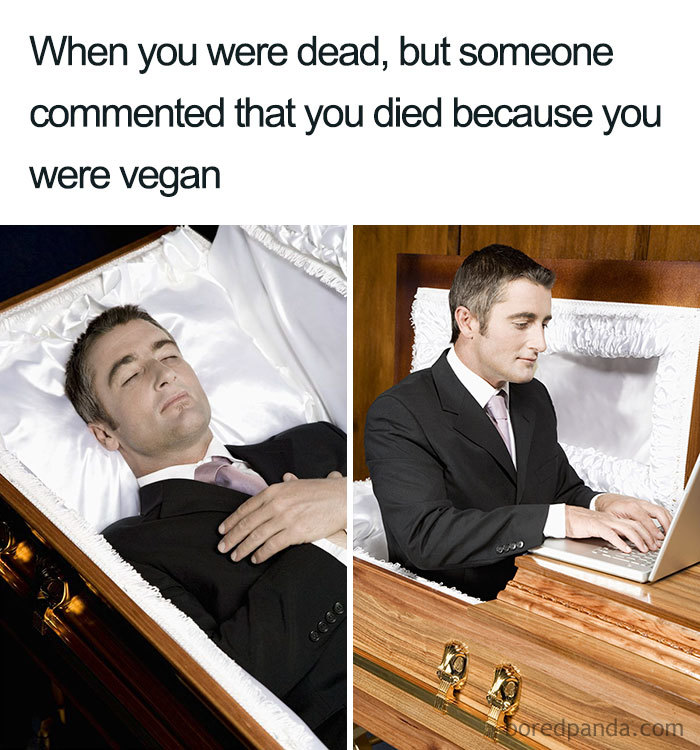 Man in a coffin in a humorous vegan meme, appearing alive and using a laptop, challenging views on meat.