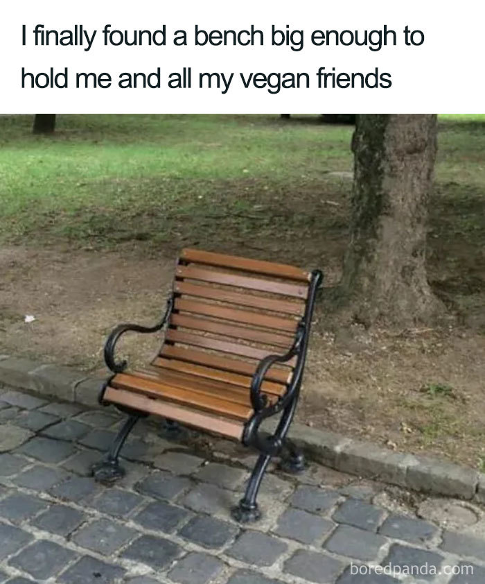 Vegan Memes
