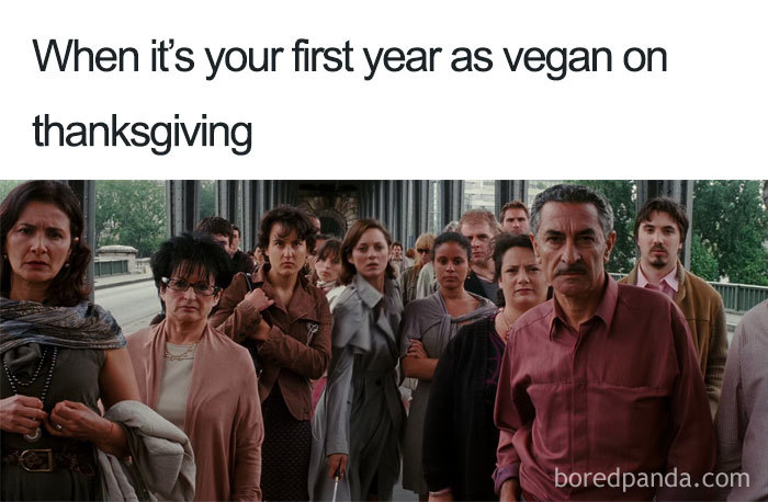 Vegan Memes