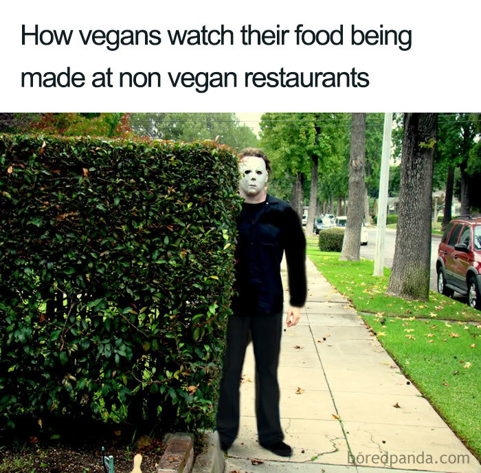 Vegan Memes