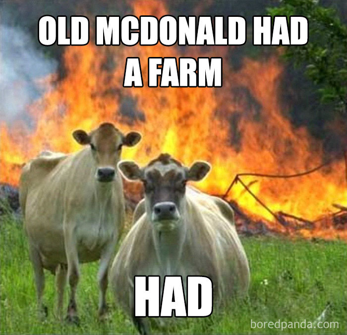 Two cows standing in a field with a large fire in the background, featuring a humorous vegan meme.