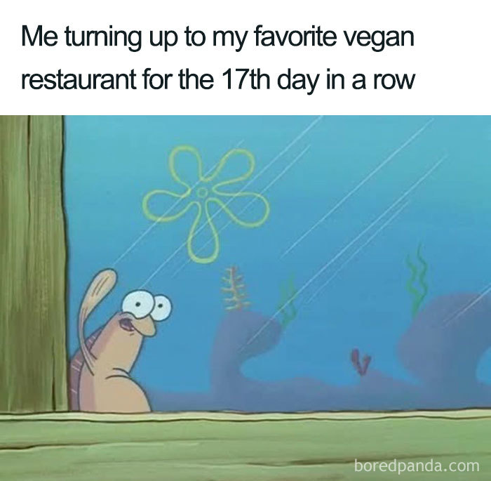 Vegan Memes