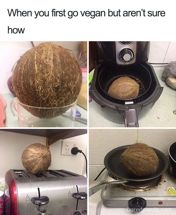 Coconut used humorously in kitchen appliances, showcasing a funny vegan meme about not knowing how to start being vegan.