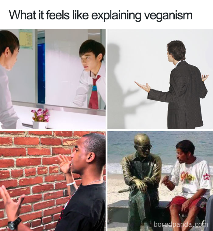 Four people humorously explaining veganism to a mirror, shadow, wall, and statue.