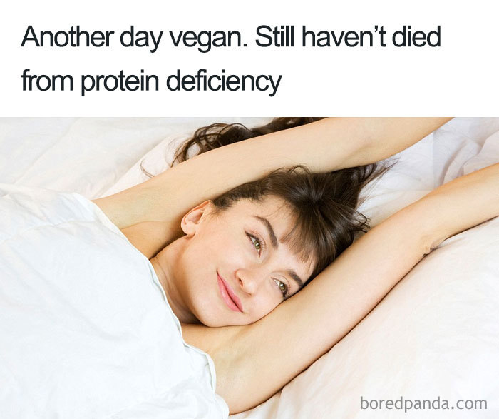 Vegan Memes