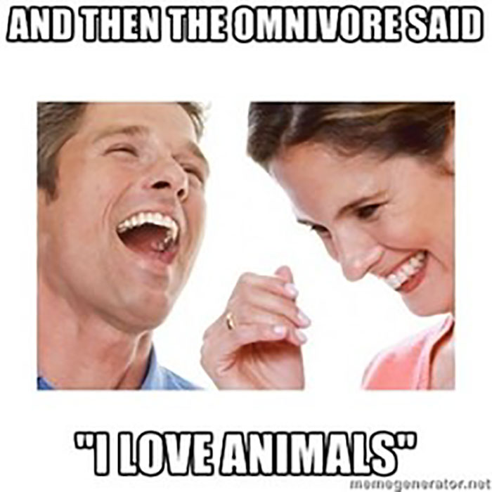 Vegan Memes