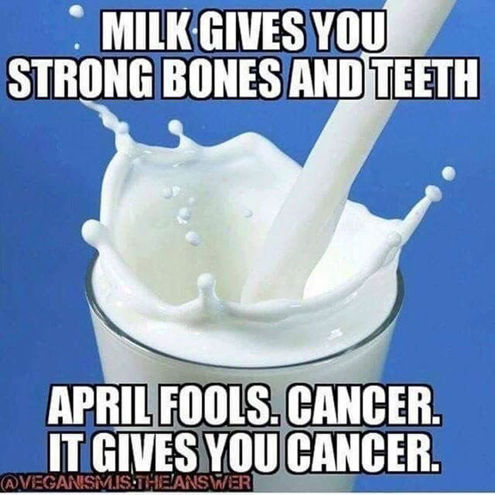Vegan Memes