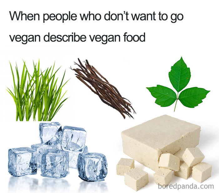 Vegan Memes
