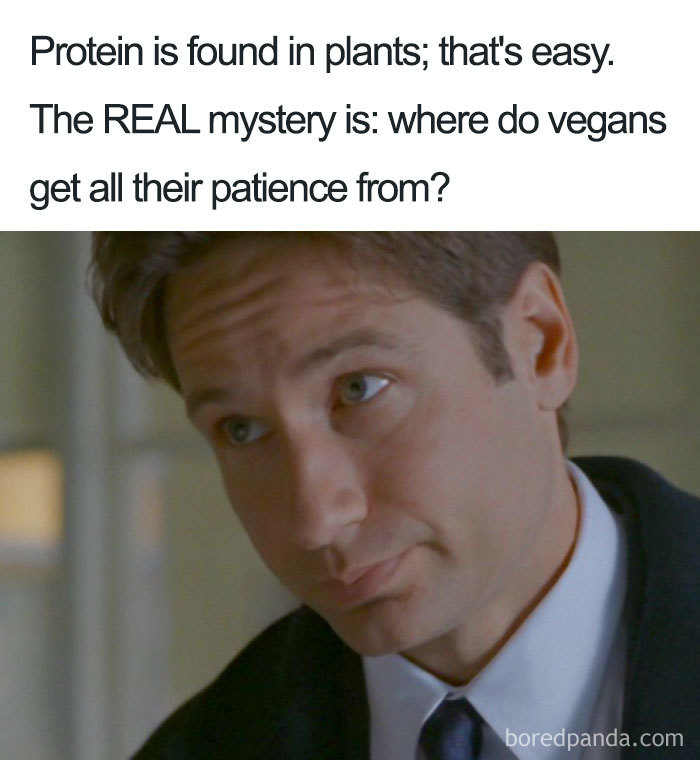 Close-up of a skeptical man with text questioning vegan patience, highlighting hilarious vegan memes.