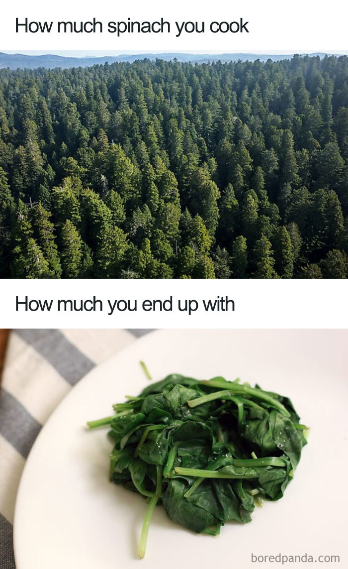 Hilarious vegan meme comparing a forest of spinach cooking down to a small portion on a plate.
