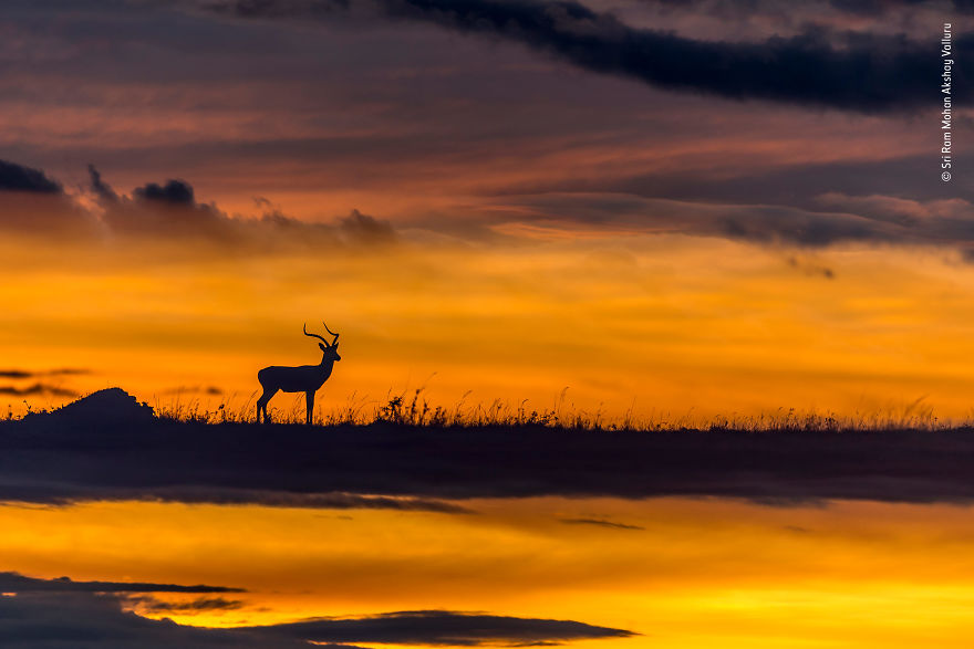 "Reflective Sunset" By Sri Ram Mohan Akshay Valluru, India, Highly Commended 2018 15–17 Years Old