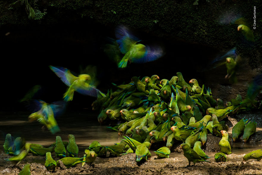 Colour, Sound, Action By Liron Gertsman, Canada, Highly Commended 2018 15–17 Years Old