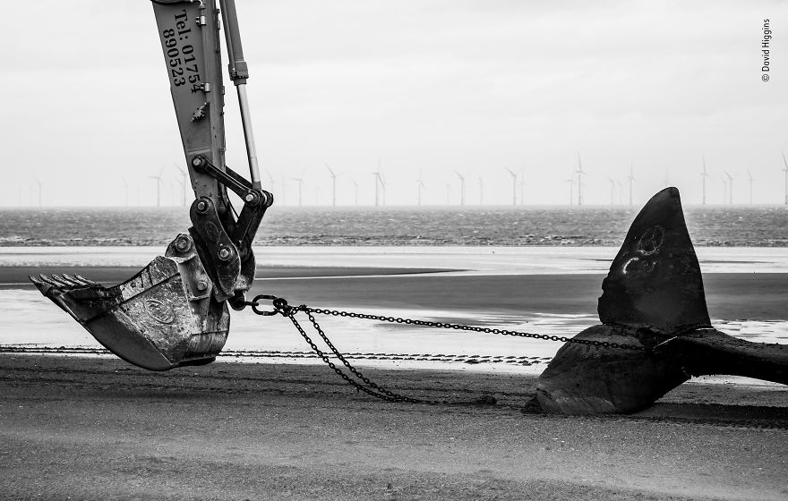 "Beach Waste" By David Higgins, Uk, Highly Commended 2018 Wildlife Photojournalism