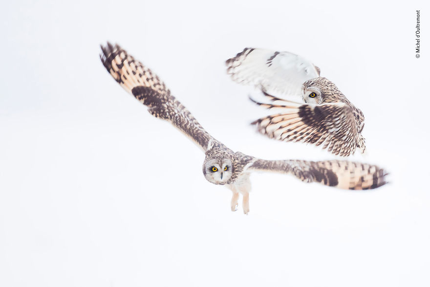 Michel D’oultremont, Belgium, Winner 2018 Rising Star Portfolio Award