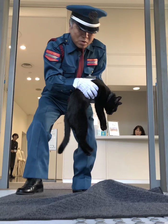 Two Cats In Japan Have Been Trying To Sneak Into A Museum For Years (30 Pics) Two Cats In Japan Have Been Trying To Sneak Into A Museum For Years (30 Pics)