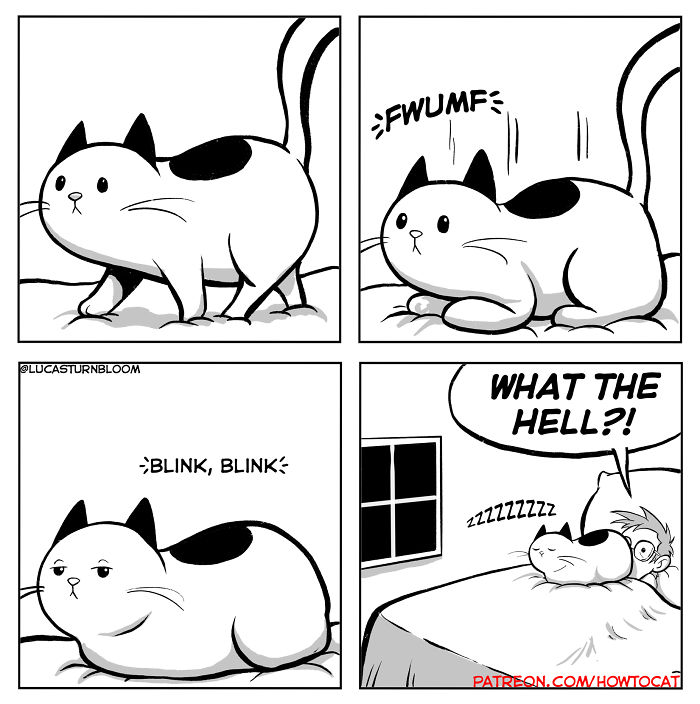 11 Comics For Cat Owners
