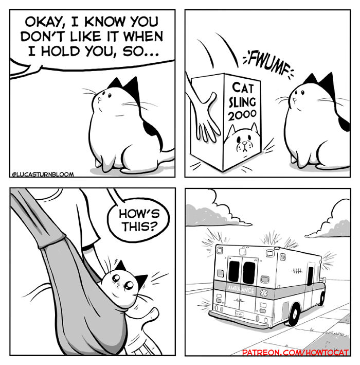 11 Comics For Cat Owners