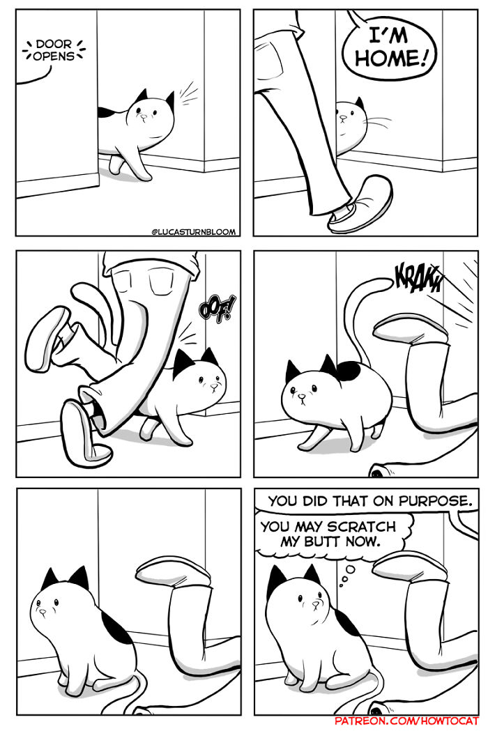 11 Comics For Cat Owners