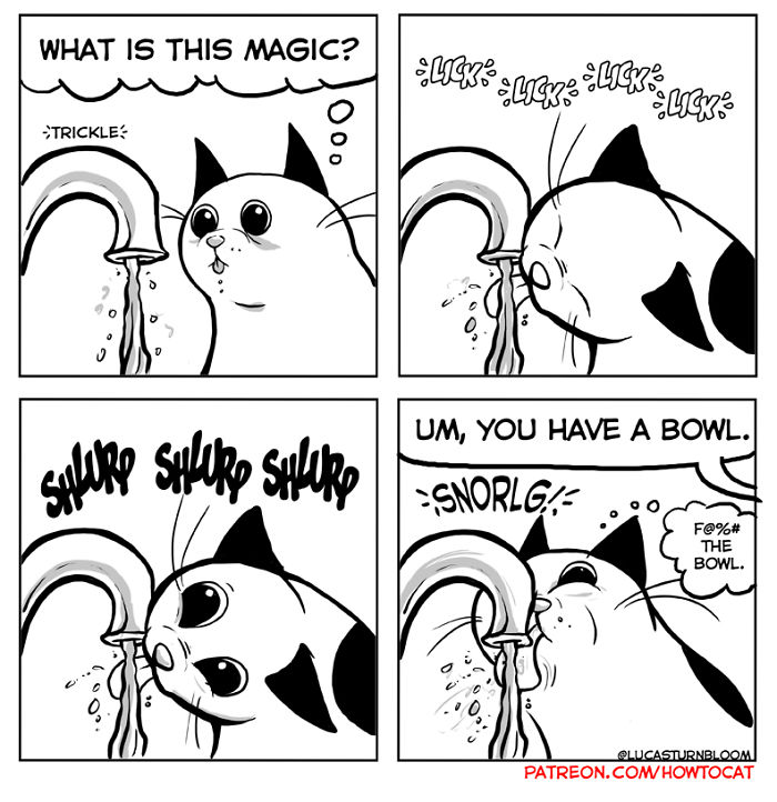 11 Comics For Cat Owners