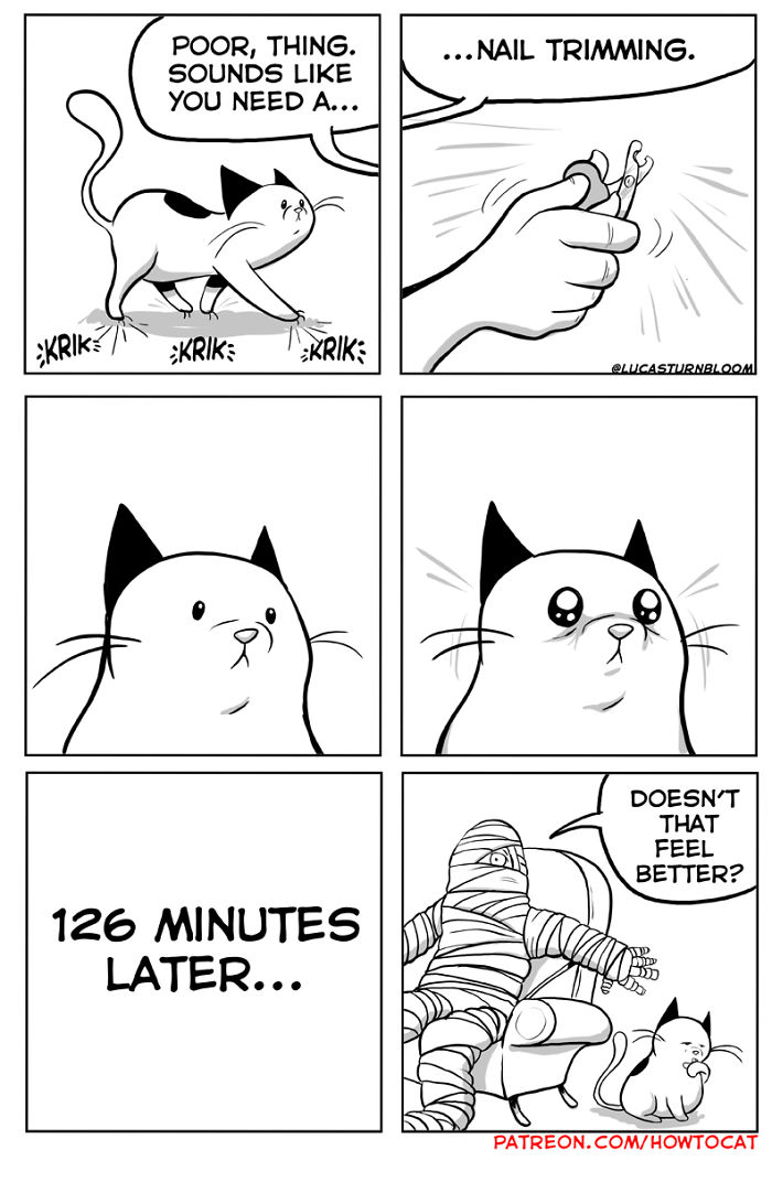 11 Comics For Cat Owners