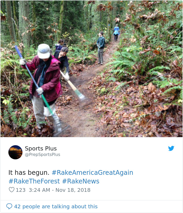 Finns-Troll-Trump-Raking-Leaves-Wildfire-Prevention