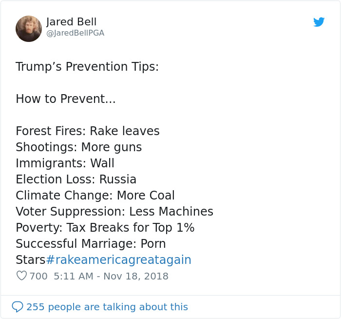 Finns-Troll-Trump-Raking-Leaves-Wildfire-Prevention